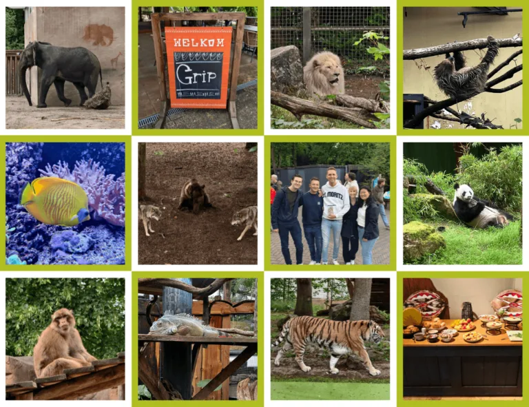 Personeelsuitje Ouwehands Dierenpark